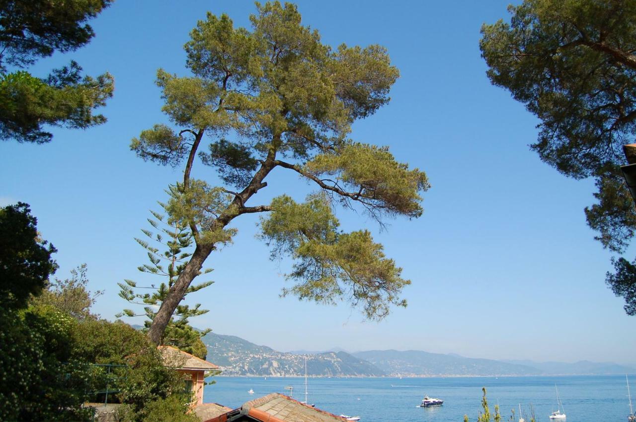 Portofino Seaview Apartment, 50 Meters From The Beach, Free Parking, Air Conditioning Paraggi Dış mekan fotoğraf